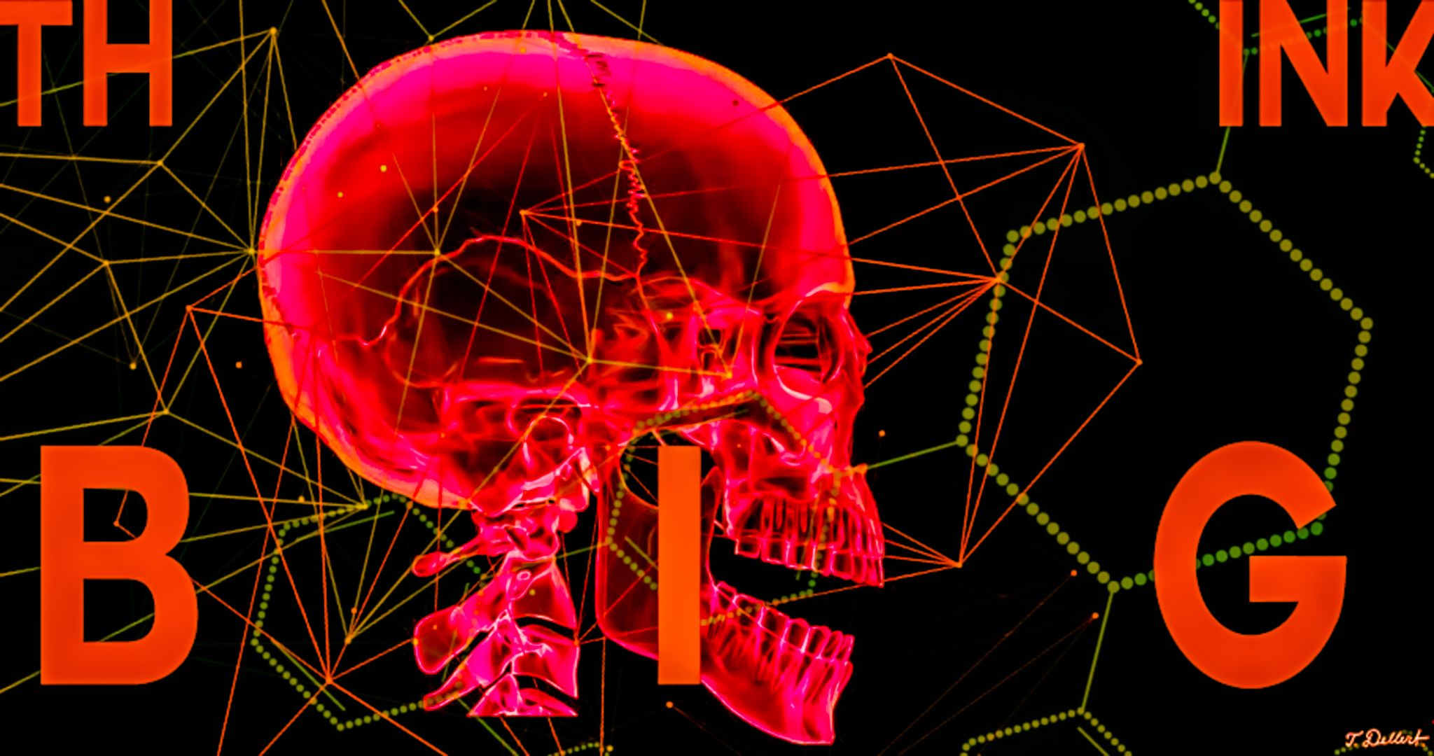 THINK BIG. X Ray Art  12